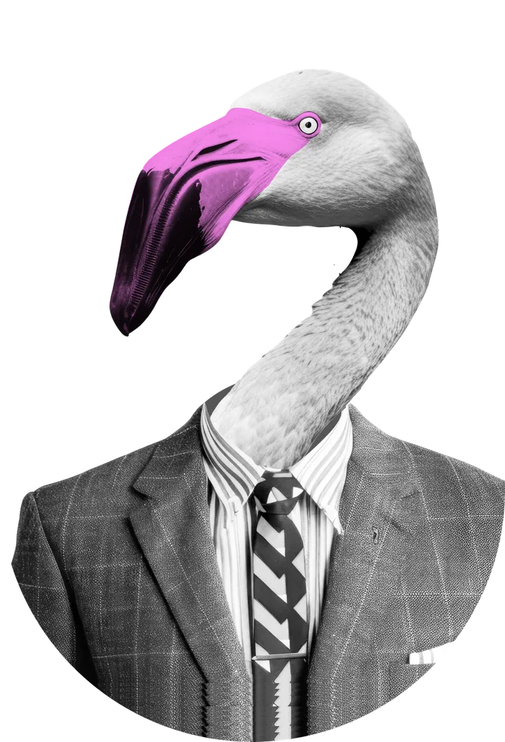 Business Flamingo