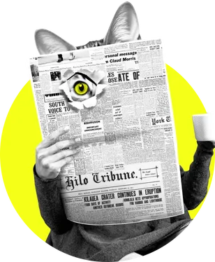 Cat reading a newspaper