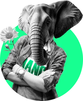 Elephant with a checkered shirt and flowers