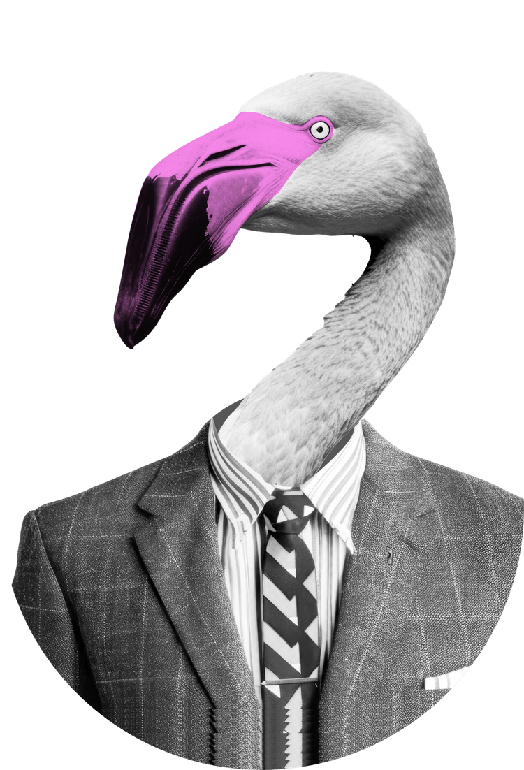 Business Flamingo