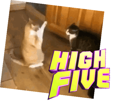 Person mit Ananas auf dem Kopf trägt eine Brille mit Lottokugeln