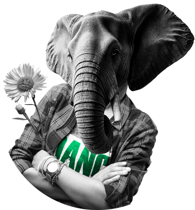Elefant mit kariertem Hemd und Blumen