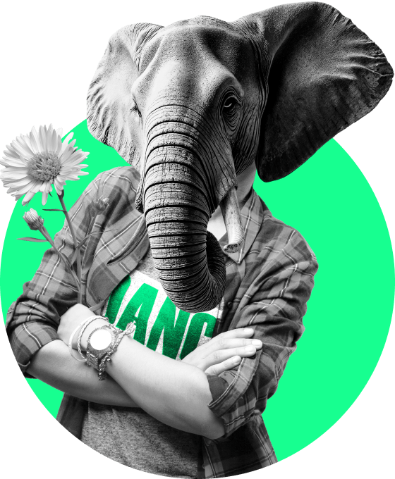 Elefant mit kariertem Hemd und Blumen